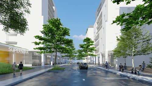 תמונה6_optimized